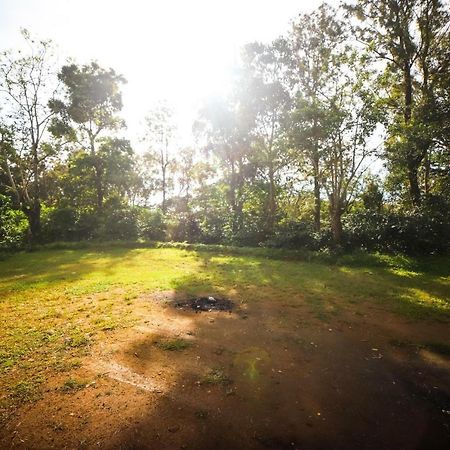 Misty Valley Hill Resorts Nelliyampathy Ngoại thất bức ảnh