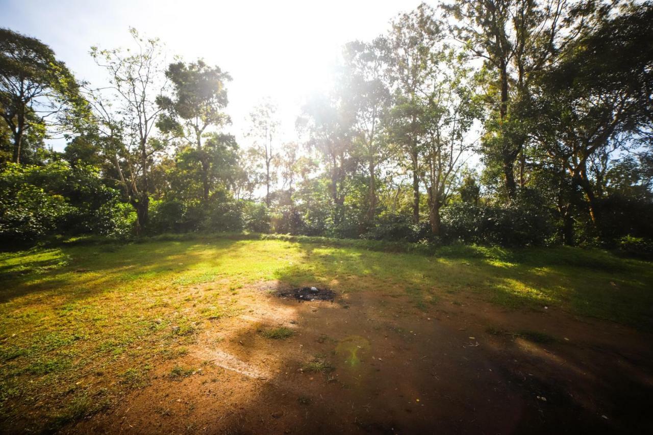 Misty Valley Hill Resorts Nelliyampathy Ngoại thất bức ảnh